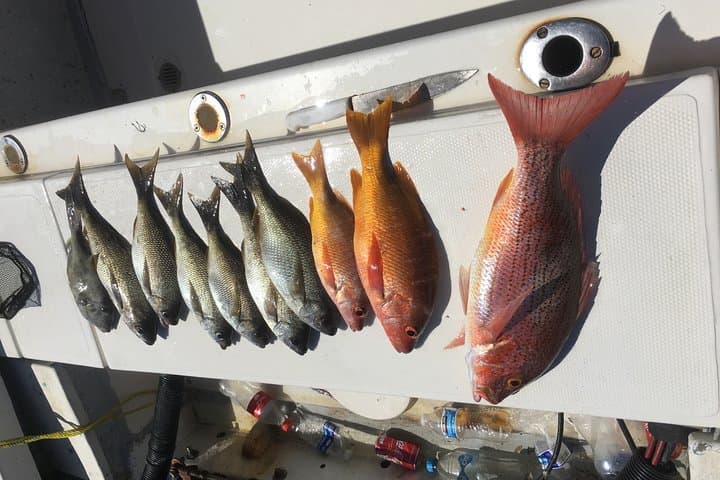 Puerto Vallarta Sport Fishing: 29' Nava Skiff Nearshore & Offshore Charter photo 4