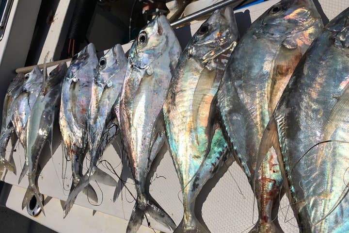 Puerto Vallarta Sport Fishing: 29' Nava Skiff Nearshore & Offshore Charter photo 5