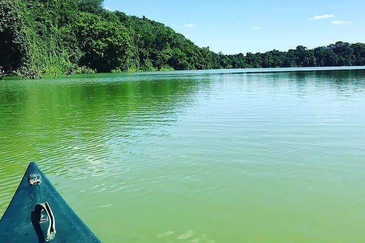 Lake Duluti Day Trip: Canoeing, Birdwatching & Forest Walks near Arusha photo 3