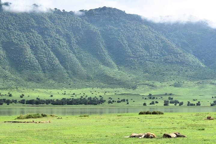3-Day Serengeti and Ngorongoro Crater Safari from Arusha photo 3