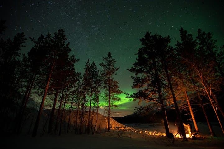 Tromsø Night Chase: Small-Group Aurora Hunt with Campfire Dinner & Photos photo 5