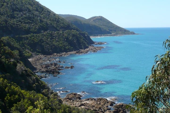 2-Day Private Great Ocean Road Tour: Twelve Apostles, Rainforest Walks & Coastal Wildlife