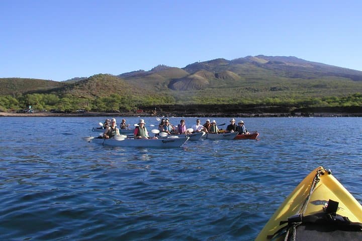 Ukumehame West Side Kayak & Snorkel: Olowalu Reef Discovery photo 2