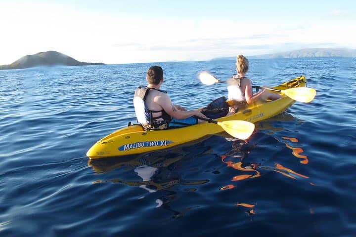 Ukumehame West Side Kayak & Snorkel: Olowalu Reef Discovery photo 4