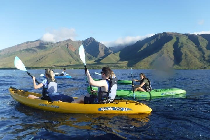 Ukumehame West Side Kayak & Snorkel: Olowalu Reef Discovery photo 5