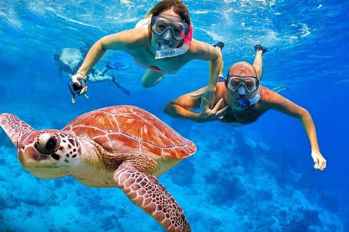 Sri Lanka Coastal Escape: Hikkaduwa & Mirissa 5N/6D Beach Holiday photo 2