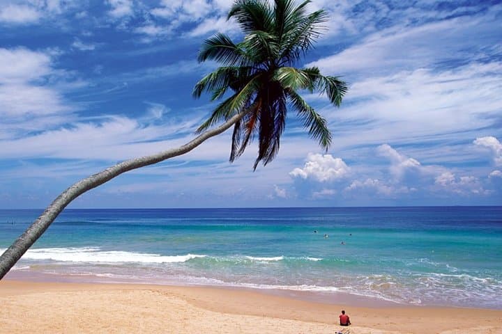 Sri Lanka Coastal Escape: Hikkaduwa & Mirissa 5N/6D Beach Holiday photo 6