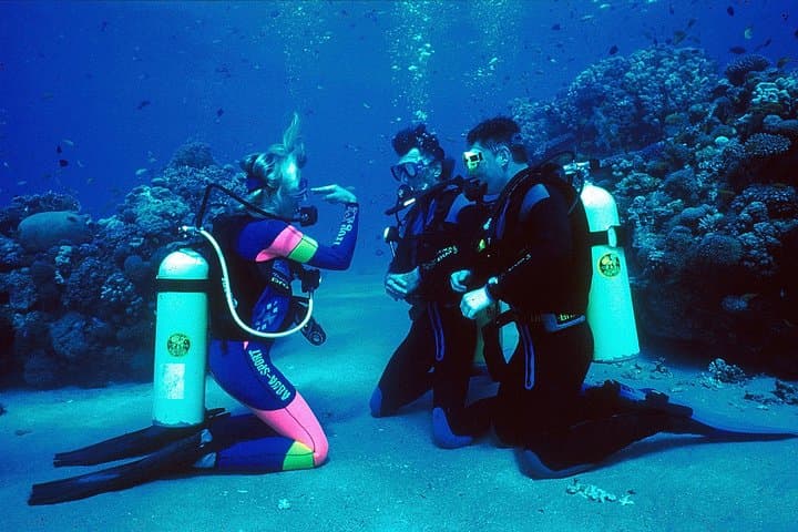 Discover Scuba Diving in Sharm el Sheikh: Beginner Beach Dive in the Red Sea photo 6