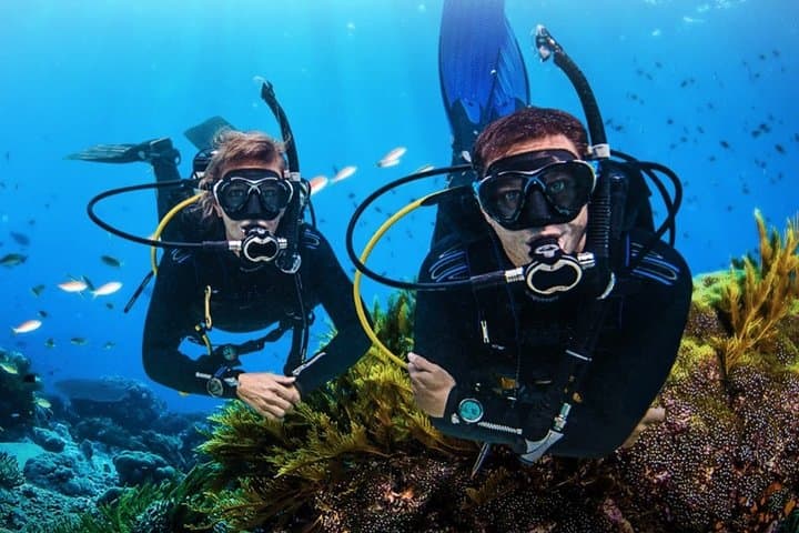 PADI Advanced Open Water Course in Sharm el Sheikh — Red Sea Deep Diver Training
