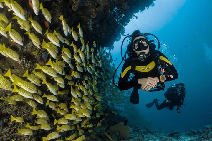 PADI Advanced Open Water Course in Sharm el Sheikh — Red Sea Deep Diver Training photo 4