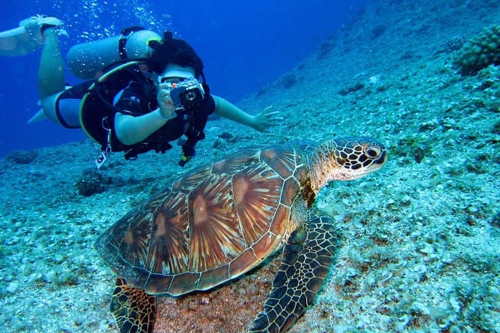 PADI Advanced Open Water Course in Sharm el Sheikh — Red Sea Deep Diver Training photo 5