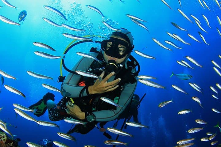 Discover Scuba Diving in Sharm el Sheikh: Beginner Beach Dive in the Red Sea photo 4