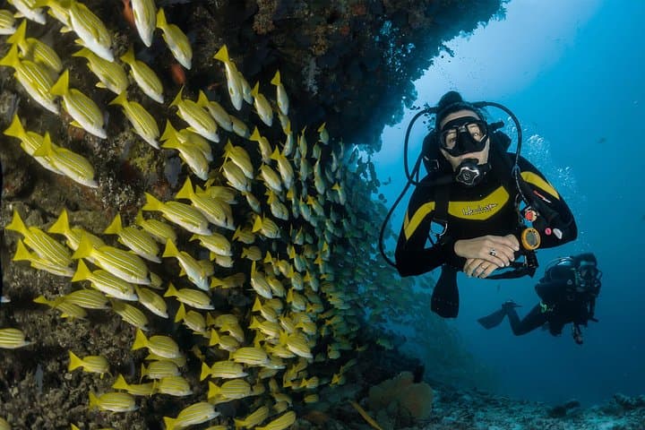 Discover Scuba Diving in Sharm el Sheikh: Beginner Beach Dive in the Red Sea photo 2