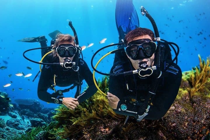 Discover Scuba Diving in Sharm el Sheikh: Beginner Beach Dive in the Red Sea photo 3