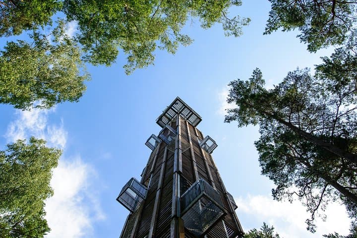 Bogs and Resorts in Jurmala: Kemeri Bog, Dzintari Tower & Baltic Beaches photo 4