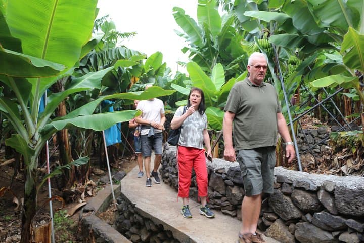 Open-Top 4x4 Tour of Southwest Madeira: Paul da Serra, Coastal Villages & Rum photo 1