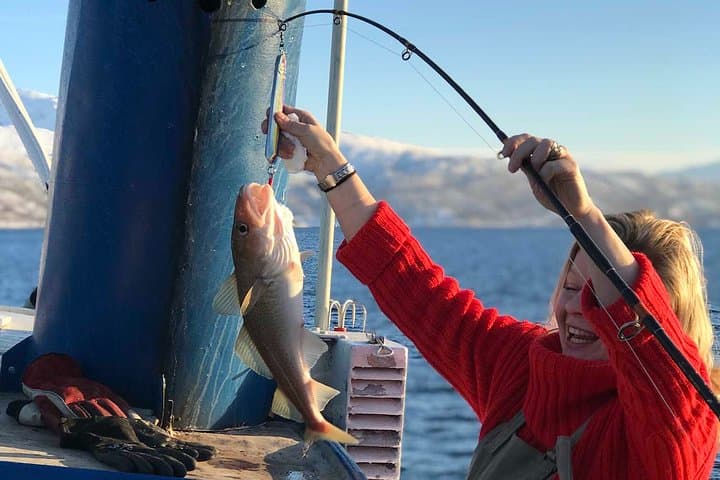 Arctic Fjord Fishing From Tromsø: Half-Day Boat Trip with Local Fishermen photo 5
