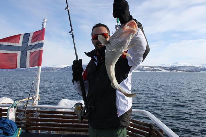 Arctic Fjord Fishing From Tromsø: Half-Day Boat Trip with Local Fishermen