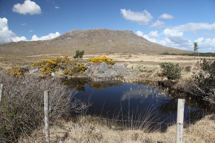 Connemara & Kylemore Abbey Day Tour from Galway — Wild Atlantic Way Highlights photo 3