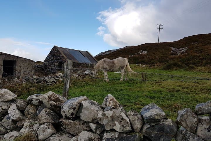Connemara & Kylemore Abbey Day Tour from Galway — Wild Atlantic Way Highlights photo 4