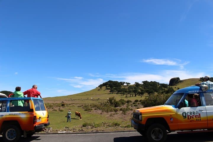 Full-Day Northwest Madeira 4x4 Tour — Fanal, Paul da Serra & Porto Moniz photo 5
