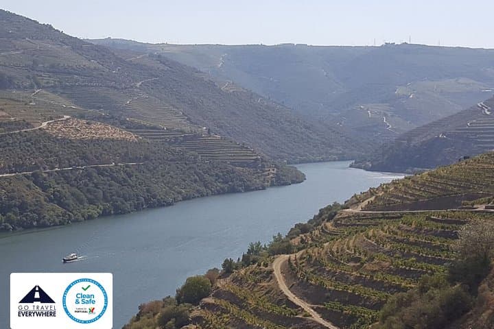 Douro Valley Private Tour: Two Wineries, River Boat & Lunch from Porto photo 4