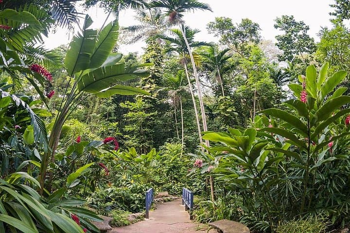 Private Transfer to Konoko Falls Botanical Gardens — Ocho Rios Garden Tour photo 1