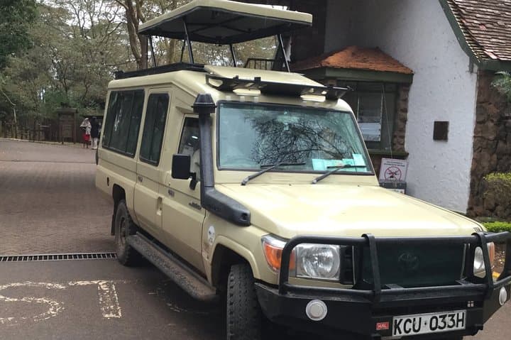 Exploring Nairobi National Park: A Private Half-Day Safari in the City