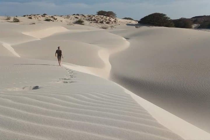 Viana Desert & Cabo Santa Maria Shipwreck: Half-Day Private Tour from Sal Rei photo 4