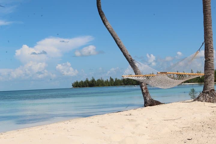 Snorkel with Sea Turtles in Freeport: Private Turtle Swim & Beach Day photo 4