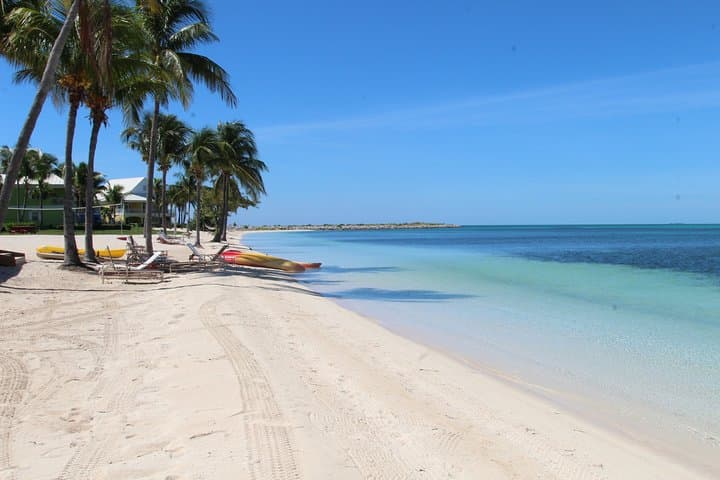 Snorkel with Sea Turtles in Freeport: Private Turtle Swim & Beach Day photo 5
