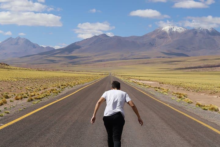 Piedras Rojas and Altiplánicas: Full-Day Atacama Red Stones & Chaxa Flamingos Tour