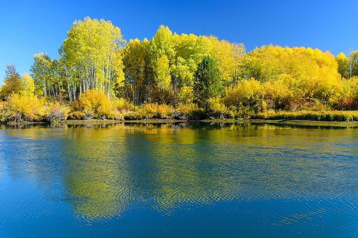 Private Half-Day Photo Tours in Bend: Cascades, High Desert & Night Sky photo 4