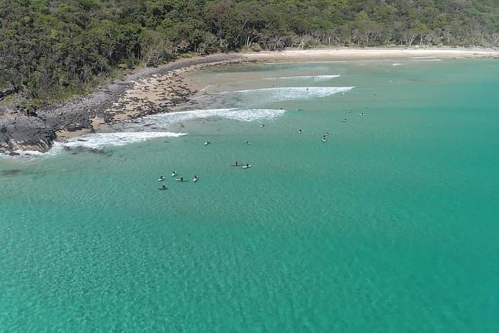 Noosa Thriller Ocean & Dolphin Adventure — High-Speed Dolphin Cruise from Noosaville photo 4