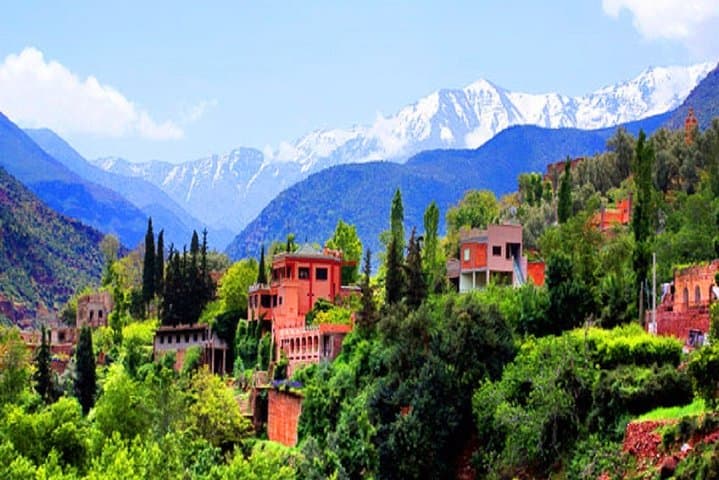 Berber Culture & Imlil Day Trip from Marrakech: Atlas Mountains, Argan Co-op & Camel Ride