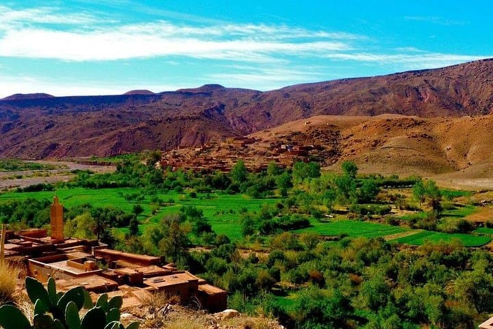 Berber Culture & Imlil Day Trip from Marrakech: Atlas Mountains, Argan Co-op & Camel Ride photo 4