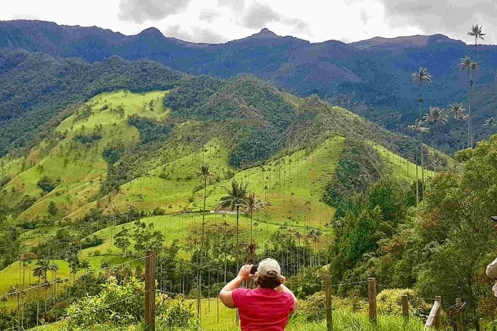 Cocora Valley Wax Palms & Salento Coffee — Full-Day Private Tour photo 2