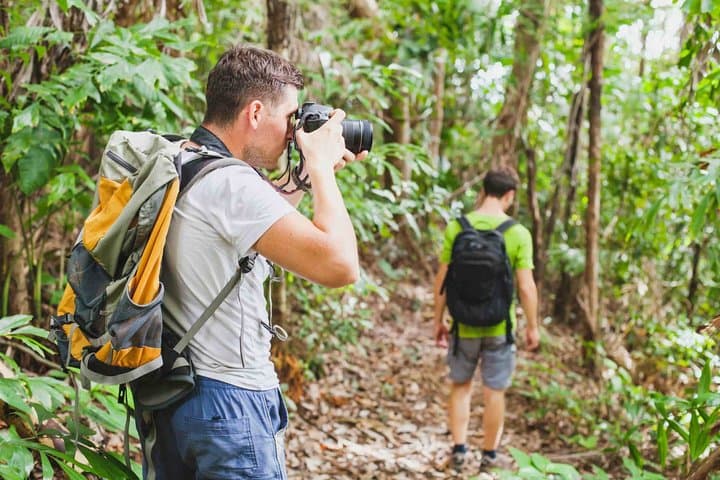 Cocora Valley Wax Palms & Salento Coffee — Full-Day Private Tour photo 6