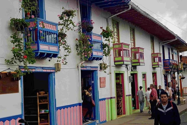5-Day Traditional Coffee Zone: Cocora Valley, Salento & Thermal Pools photo 2