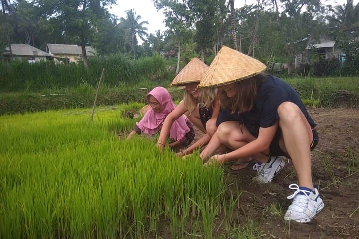Panorama Walk at Tetebatu Village: Rice Fields, Waterfall Swim & Sasak Farm Experience photo 2