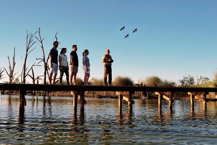 8-Day Murray Princess Cruise: Upper Murraylands River Journey from Mannum to Younghusband photo 5