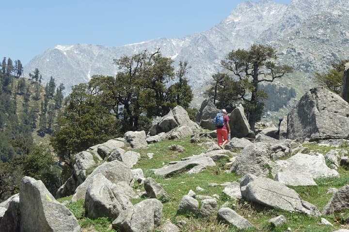 5-Day Indrahar Pass Trek from McLeod Ganj — 4,342m Dhauladhar Crossing photo 3