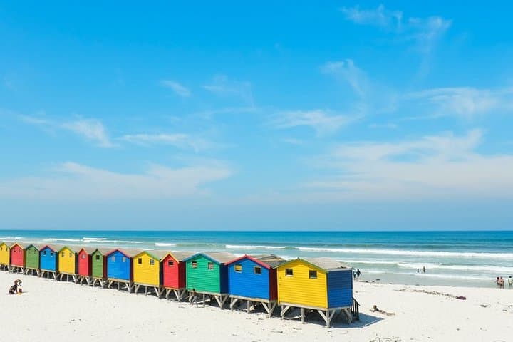 From Table Mountain to Cape Point: Full-Day Cape Town Coastal & Winelands Escape photo 3