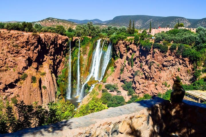 Ouzoud Waterfalls Full Day Trip from Marrakech — Visiting Morocco’s 110m Cascades photo 5