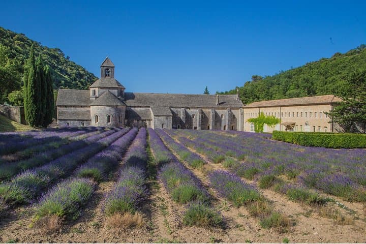 Half-Day Baux de Provence and Luberon Tour from Avignon — Les Baux, Gordes & Roussillon photo 6