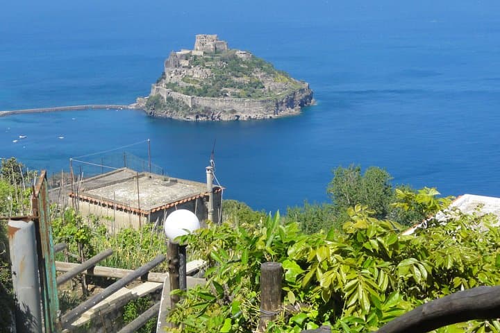 Half-Day East Coast Hike on Ischia: Vesuvius Views, Vineyards & Volcanic Cliffs photo 3