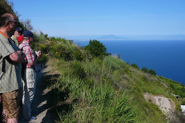 Half-Day East Coast Hike on Ischia: Vesuvius Views, Vineyards & Volcanic Cliffs photo 6