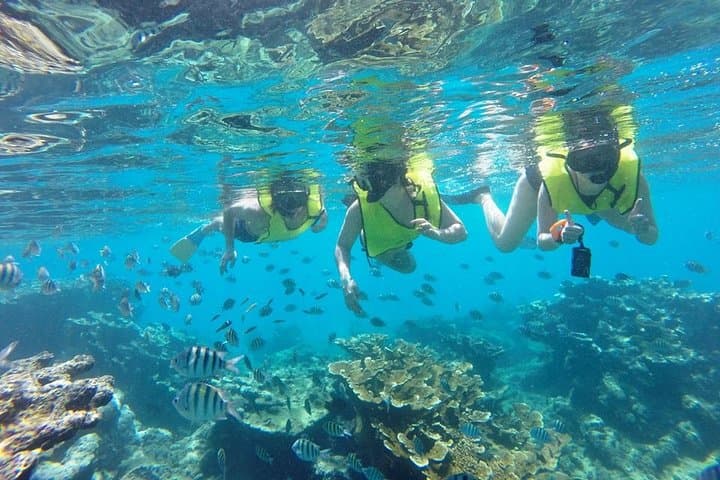 Sosúa Snorkel & Beach Day from Puerto Plata — Two Reefs, Sun Chairs and Local Flavor photo 4