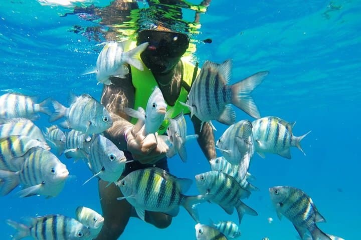 Sosúa Snorkel & Beach Day from Puerto Plata — Two Reefs, Sun Chairs and Local Flavor photo 3