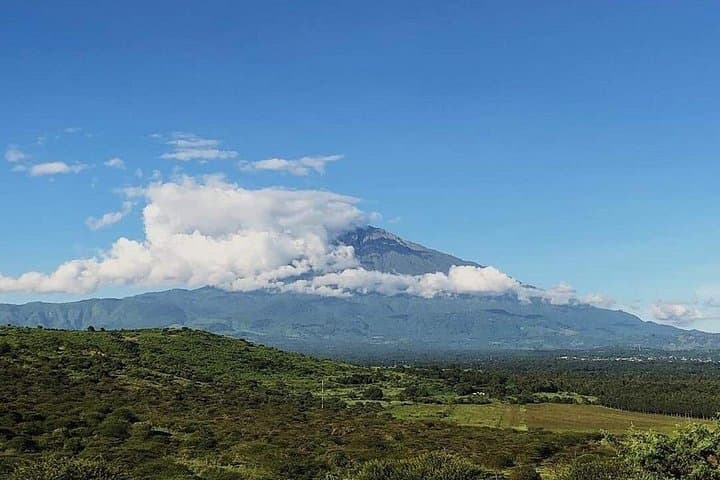 4-Day Mount Meru Trek: Rainforest, Wildlife and Alpine Summit near Arusha photo 3